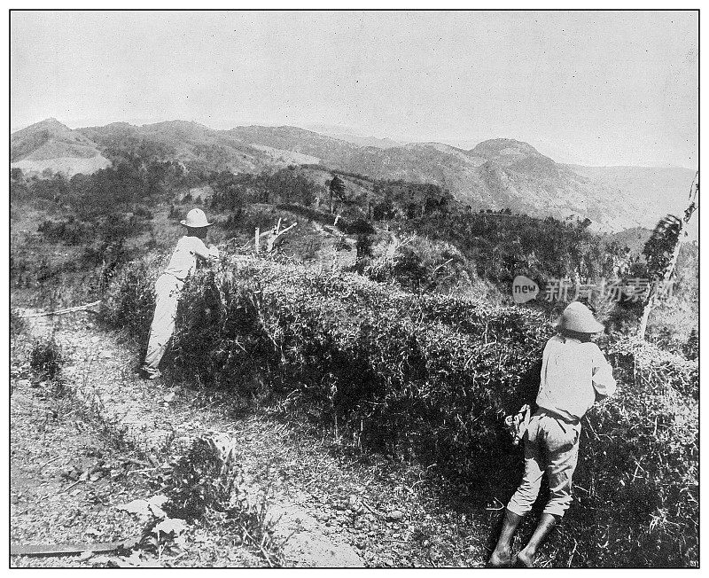 古董黑白照片:Aibonito Pass, Puerto Rico